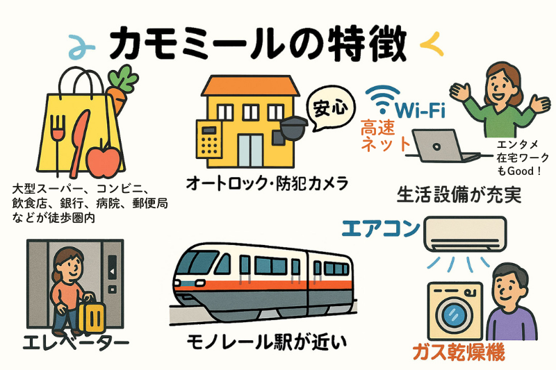カモミールの特徴イラスト